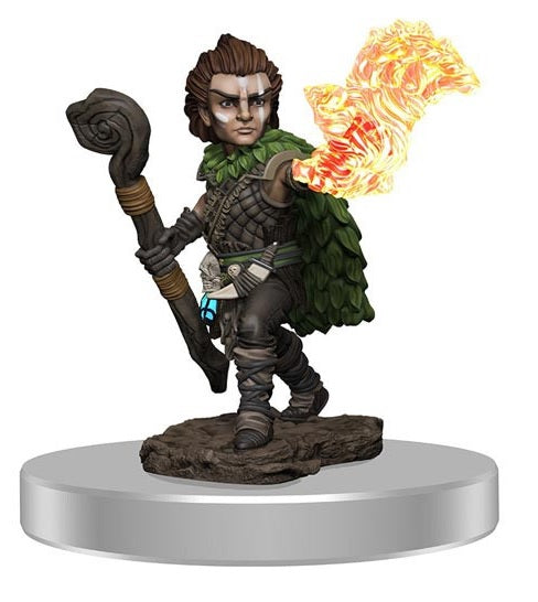 Wizkids Pathfinder Minis 77516 Male Gnome Druid Prepainted