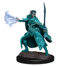 Wizkids Minis D&D 90320 Winter and Spring Eladrin
