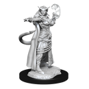 Wizkids Minis D&D 90304 Tiefling Sorcerer Female