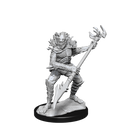 Wizkids Minis D&D 90245 Koalinths