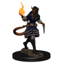 Wizkids Minis D&D 90304 Tiefling Sorcerer Female