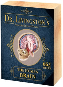 Puzzle Dr. Livngston's Anatomy Puzzle Human Brain 662 Pcs