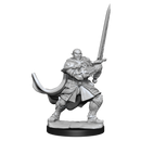 Wizkids Minis D&D 90307 Half-Orc Paladin Male