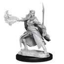 Wizkids Minis D&D 90320 Winter and Spring Eladrin