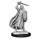 Wizkids Minis Pathfinder 90264 Human Champion Female