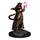 Wizkids Minis D&D 90304 Tiefling Sorcerer Female
