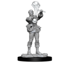 Wizkids Minis Pathfinder 90329 Human Alchemist Female