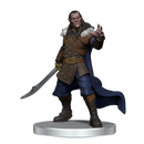 Wizkids D&D Miniatures Icons of the Realms: Curse of Strahd Denizens of Castle Ravenloft