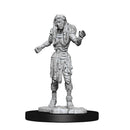 Wizkids Minis D&D 90242 Drowned Assassin & Asetic