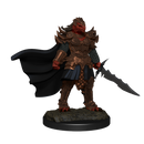 Wizkids Minis D&D 90302 Dragonborn Fighter Female