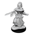 Wizkids Minis D&D 90239 Night Hag & Dusk Hag