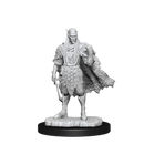 Wizkids Minis D&D 90319 Autumn and Summer Eladrin