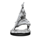 Wizkids Minis D&D 90234 Warforged Monk