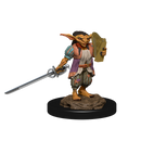 Wizkids Minis D&D 90309 Goblin Male Rogue/Female Bard