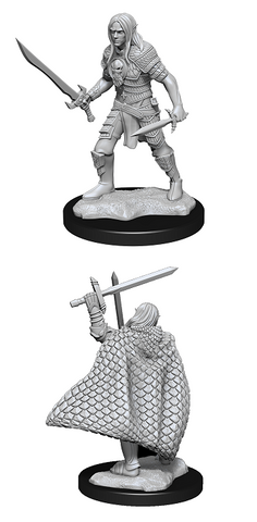 Wizkids Minis Pathfinder 90169 Elf Fighter Male