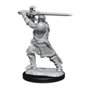 Wizkids Minis D&D 90220 Human Paladin Male