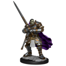 Wizkids Minis D&D 90307 Half-Orc Paladin Male