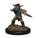 Wizkids Minis D&D 90309 Goblin Male Rogue/Female Bard