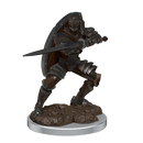 Wizkids D&D Miniature 93060 Warforged Male Fighter Prepainted