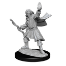 Wizkids Minis Pathfinder 90262 Elf Sorcerer Male