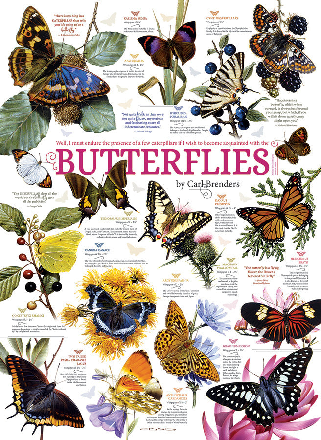 Cobble Hill Puzzle 1000 Piece Butterfly Collection