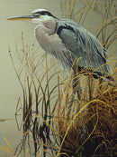 Cobble Hill Puzzle 500 Piece Great Blue Heron