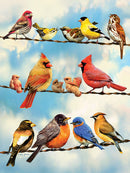 Cobble Hill Puzzle 500 Piece Birds On A Wire
