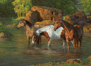 Cobble Hill Puzzle 500 Piece Horse Pond